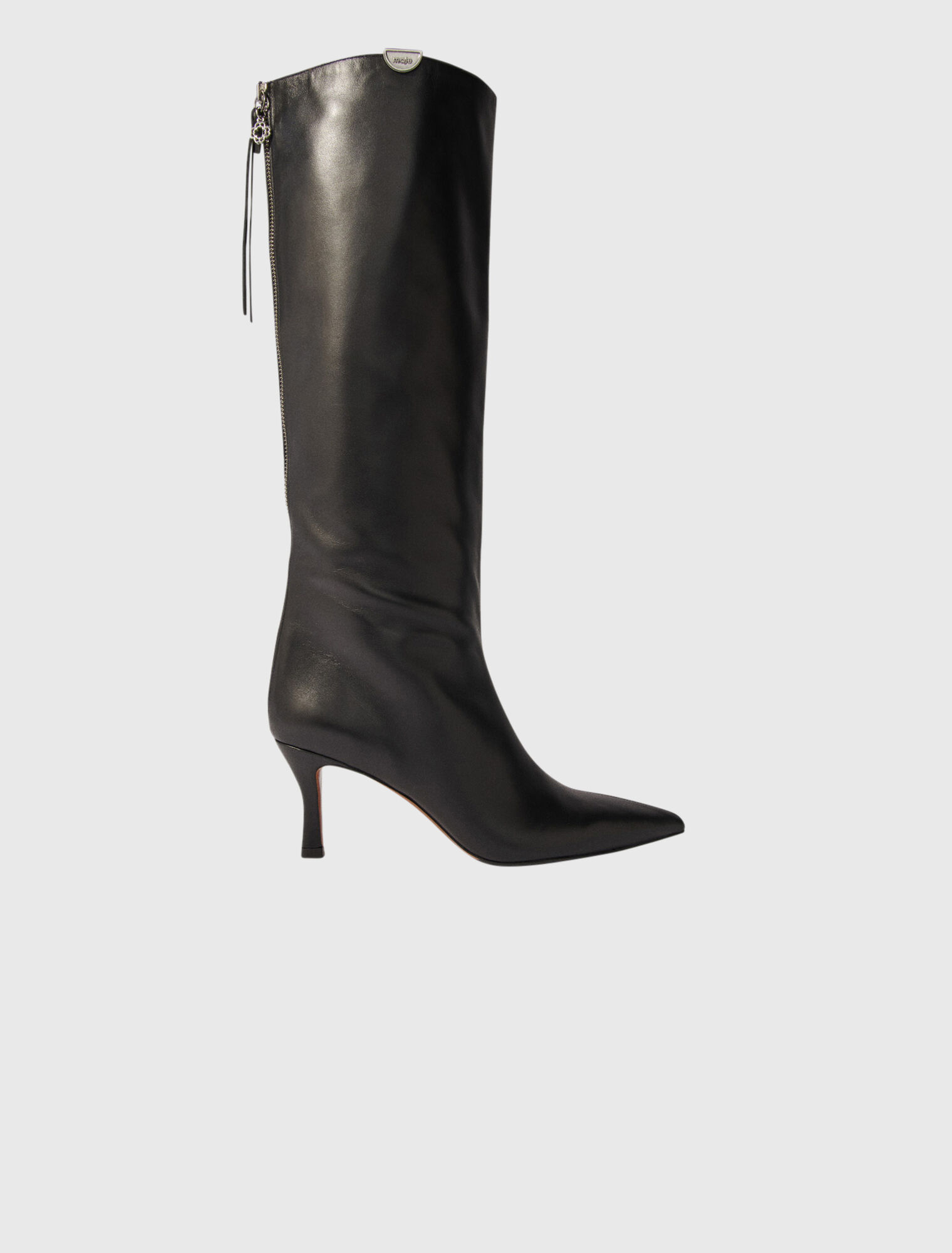 Bottes en cuir à bouts pointus
