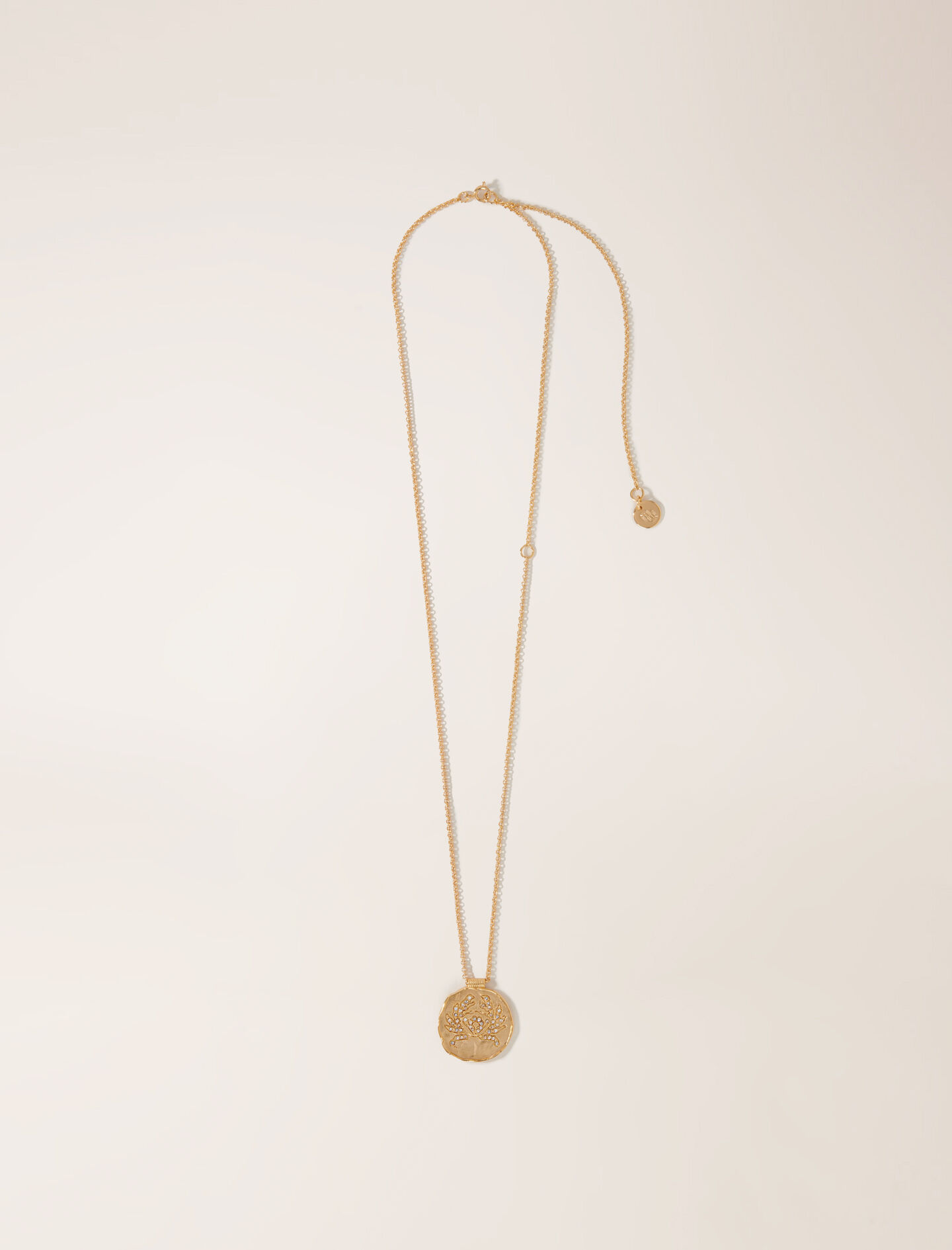 maje Médaille Constellation Lion